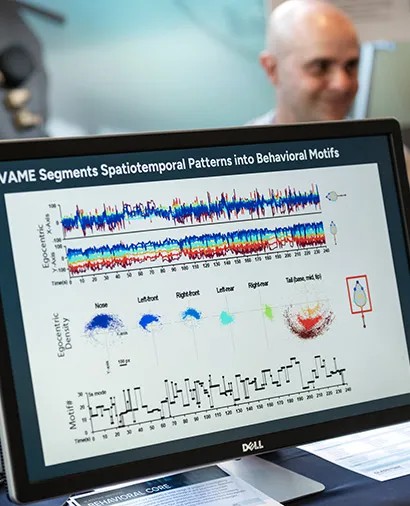 A screen showing behavioral motifs segmented from tracking data