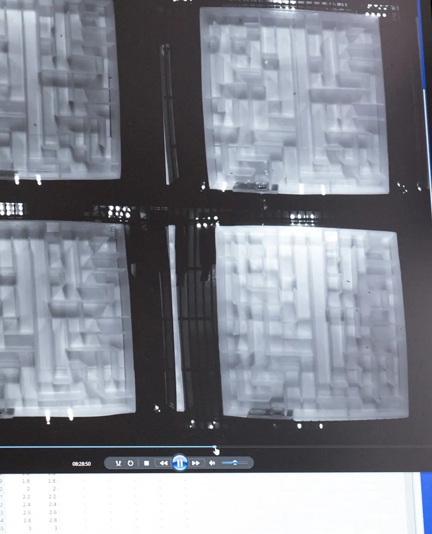 A monitor showing four maze arenas being video tracked
