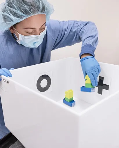 A core staff member placing objects in a novel object recognition arena
