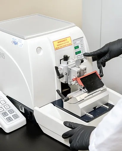 Gloved hands at the Leica RM2245 rotary microtome
