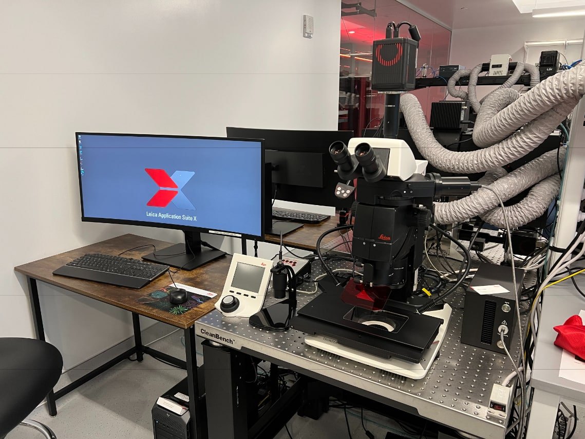 The THUNDER model organism imager, a motorized fluorescence stereomicroscope.