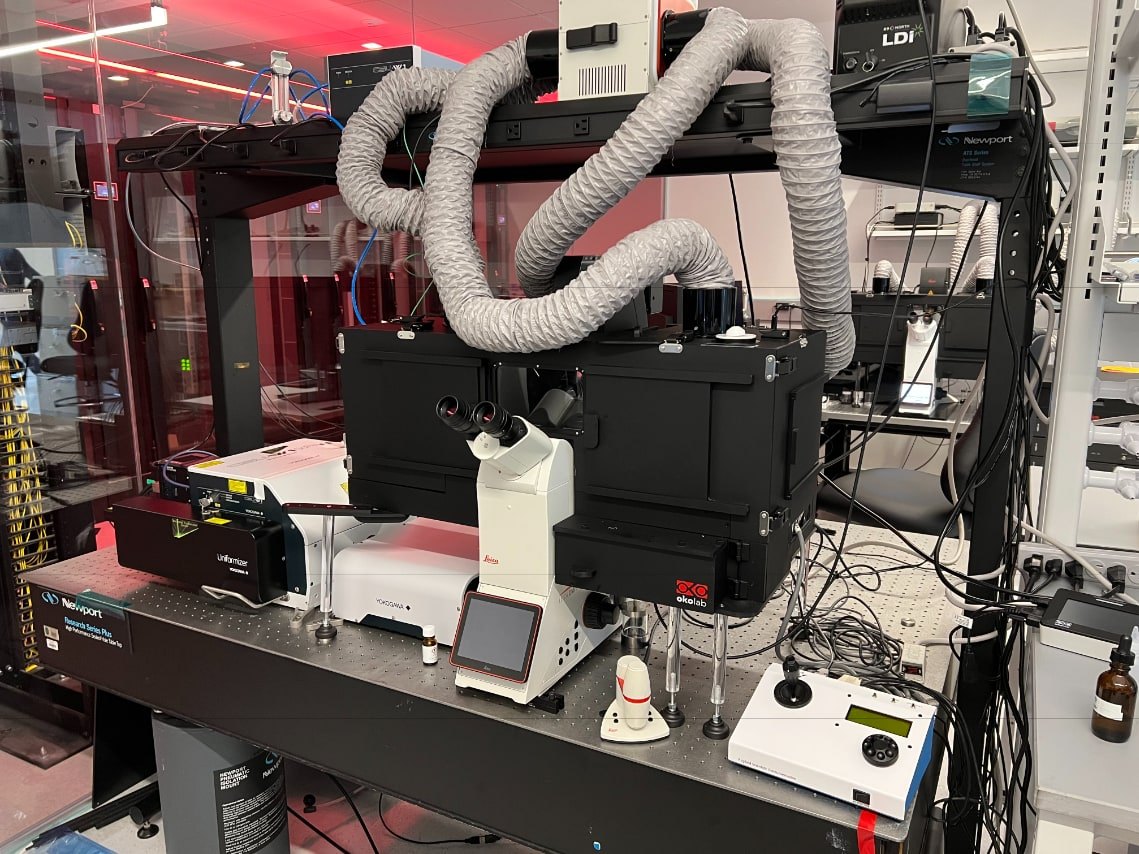 The CSU-W1 SoRa spinning disk, for live and fixed samples with a super-resolution mode.