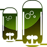 Laboratoire de biotechnologies environnementales (LBE)