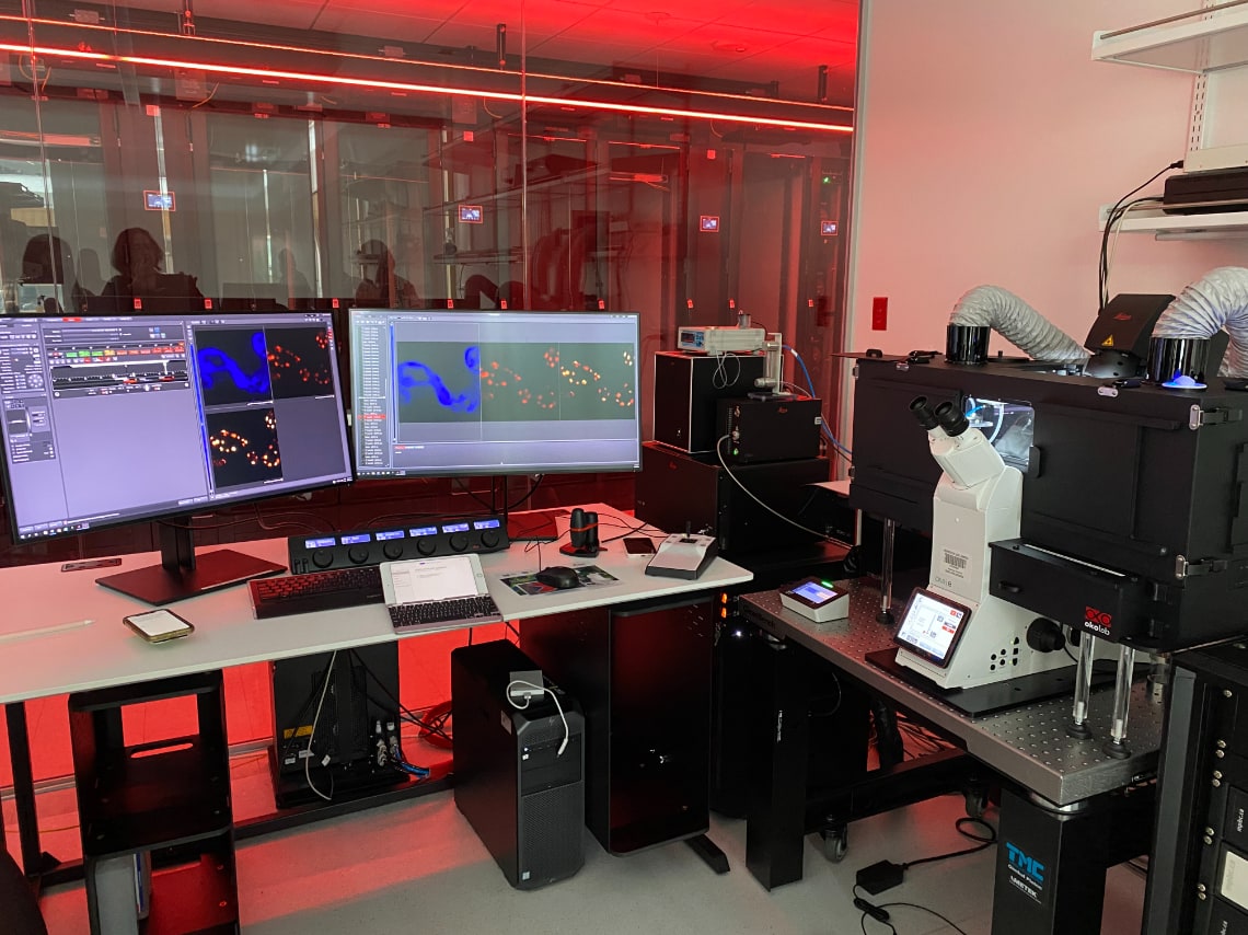 Leica Stellaris 8 confocal with STED and FLIM