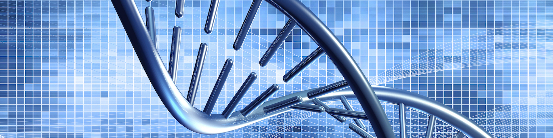Bioinformatics & Biostatistics Consulting and Analysis