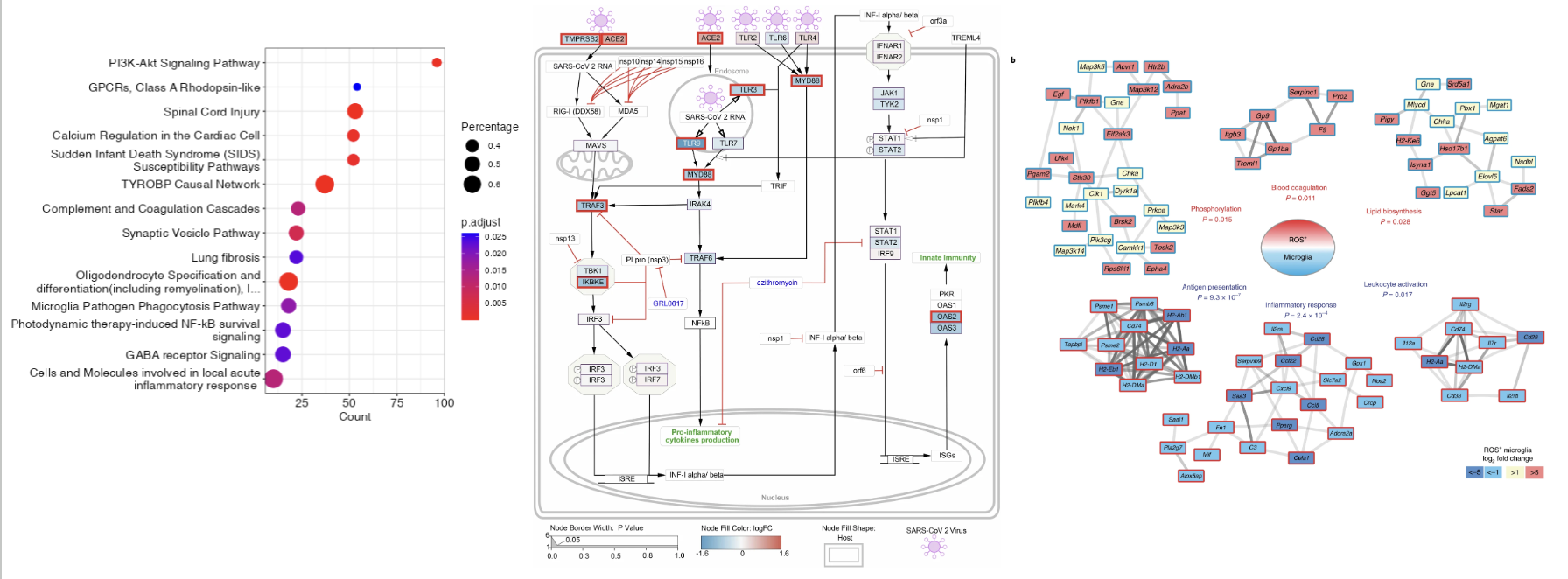 Pathway and Network Analysis 2
