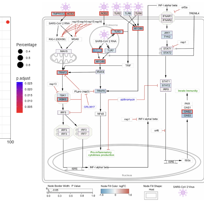 Pathway and Network Analysis