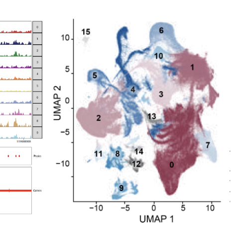 Genomics and Multi-Omics Data Analysis